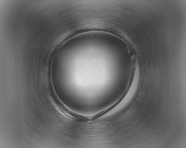 X0000054400677200508121659