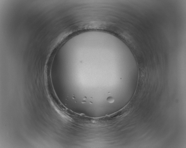 X0000054400678200508121659