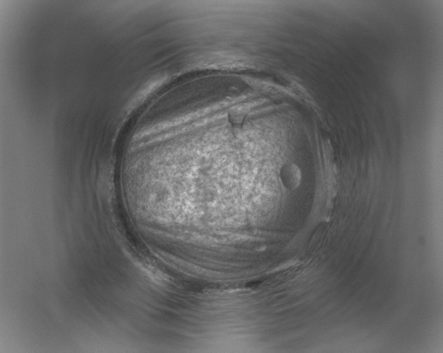 X0000054400679200508121659