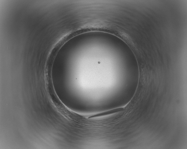 X0000054400680200508121659