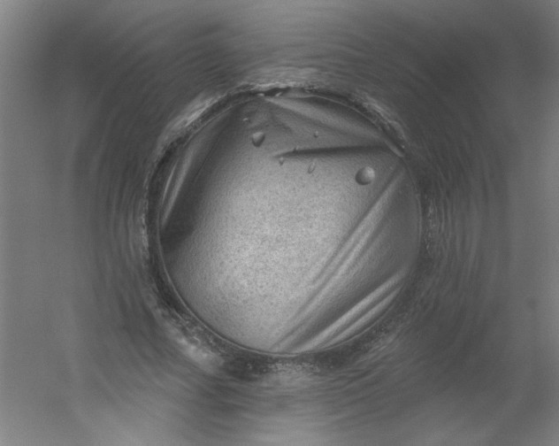 X0000054400682200508121659