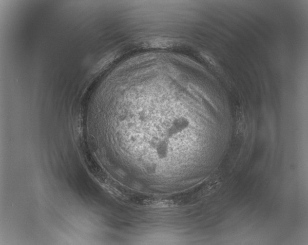 X0000054400683200508121659