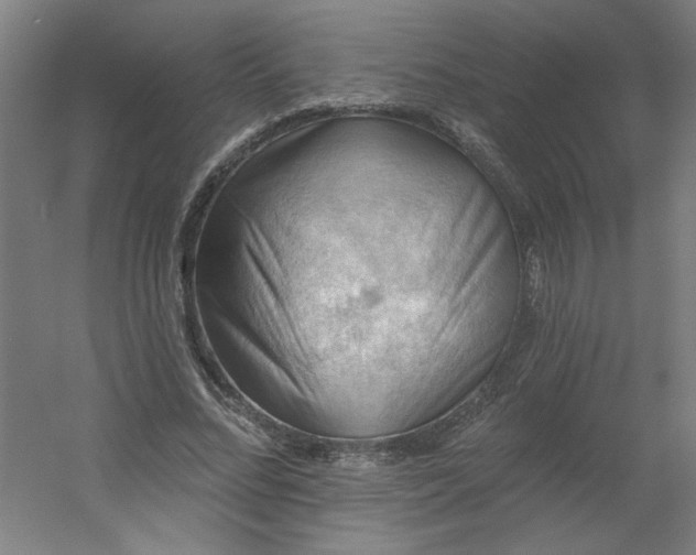 X0000054400684200508121659