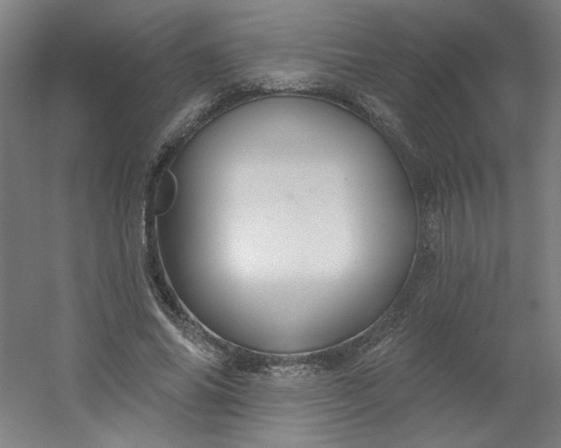 X0000054400686200508121659