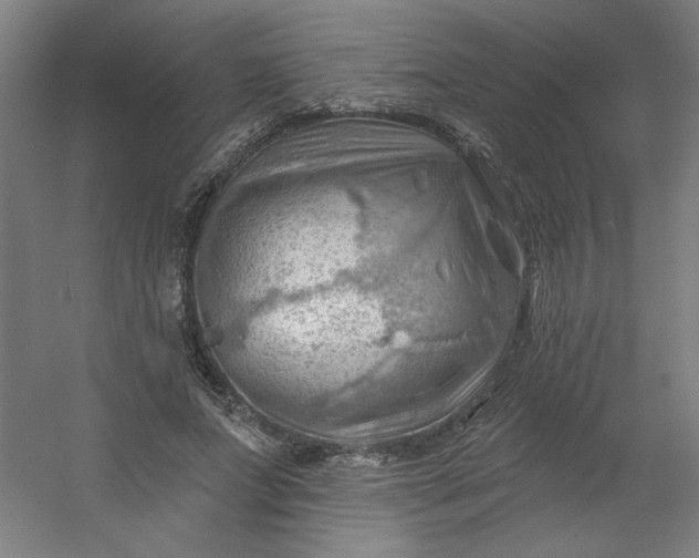 X0000054400687200508121659