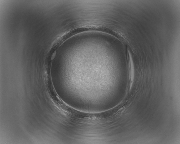 X0000054400688200508121659