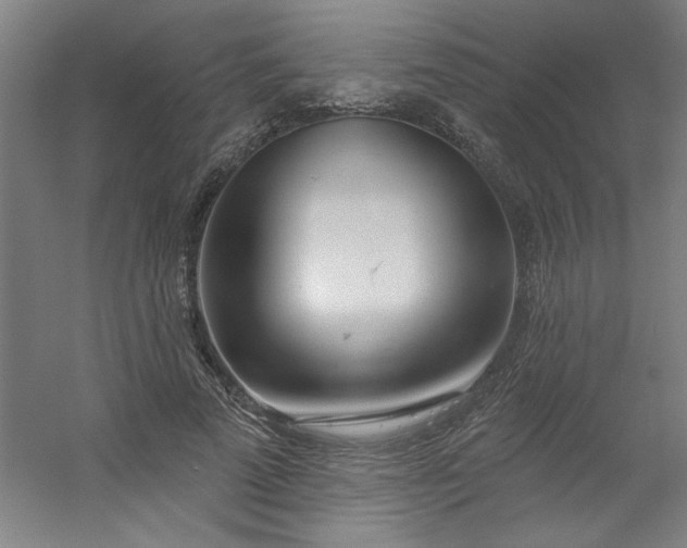 X0000054400689200508121659