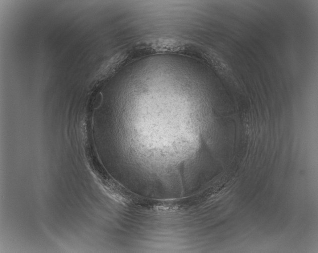 X0000054400690200508121659