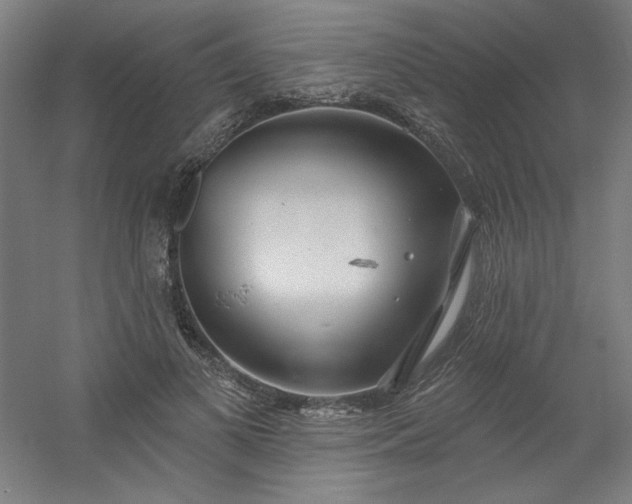 X0000054400693200508121659