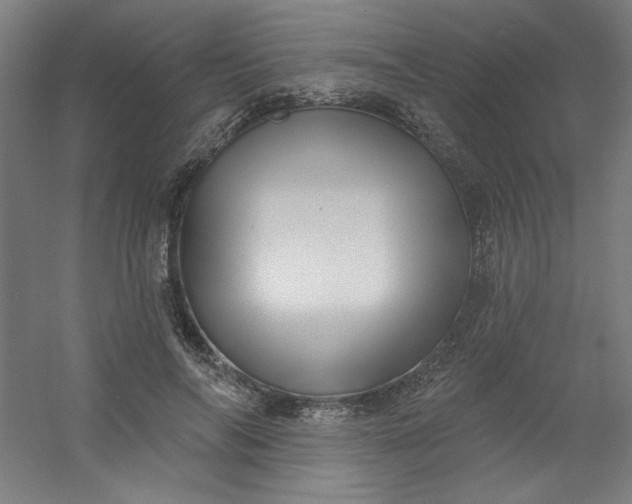 X0000054400694200508121659