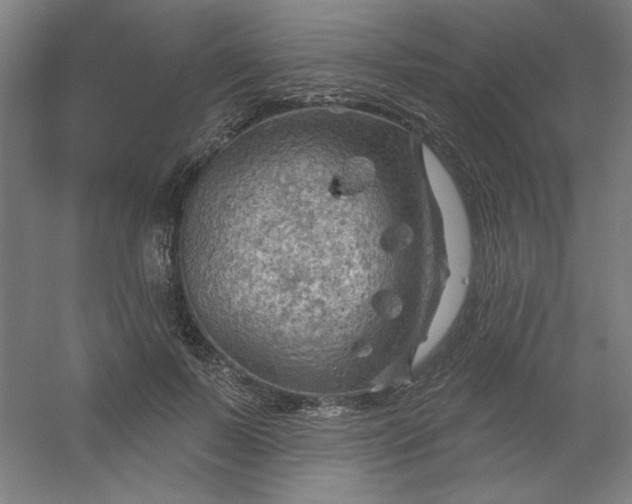 X0000054400695200508121659