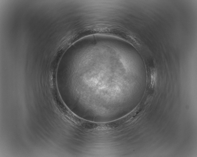 X0000054400696200508121659