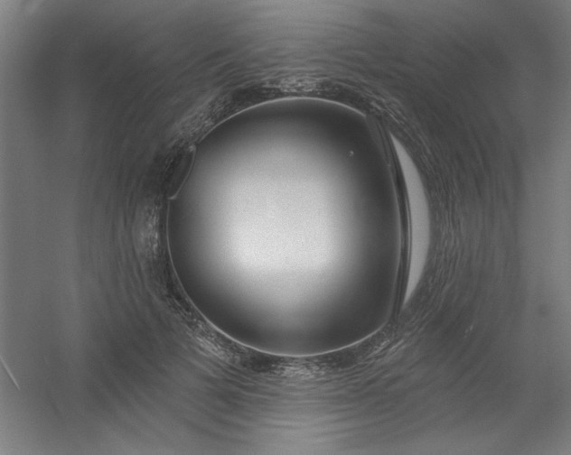 X0000054400697200508121659