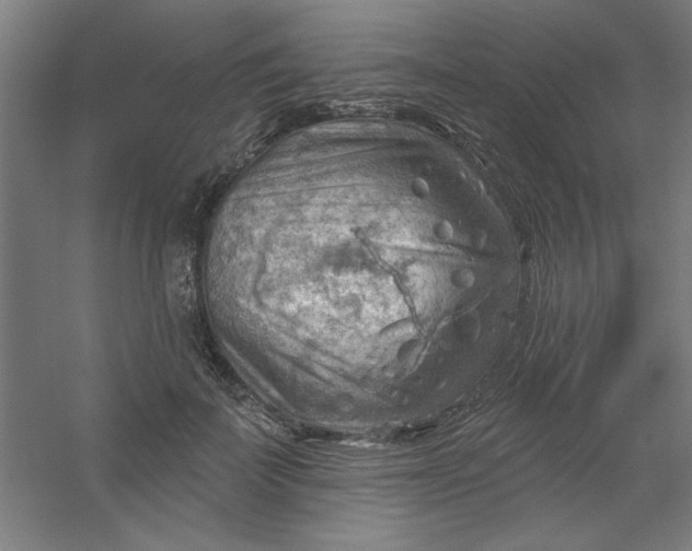 X0000054400699200508121659