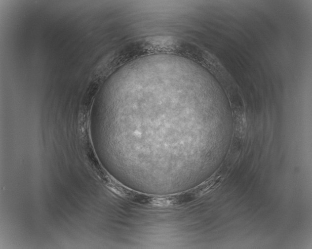 X0000054400701200508121659