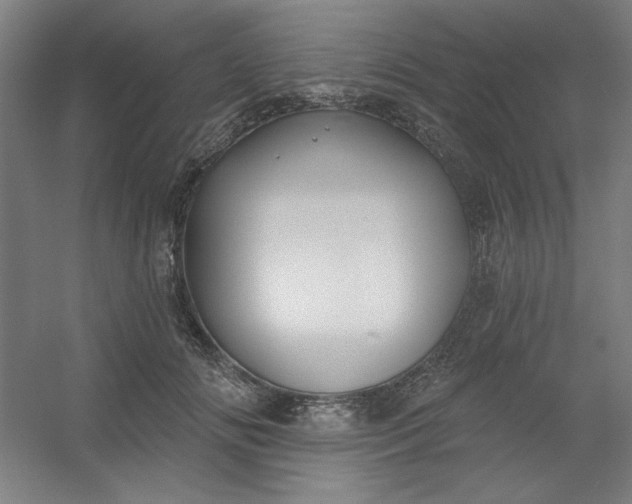 X0000054400702200508121659