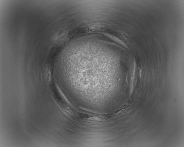 X0000054400703200508121659