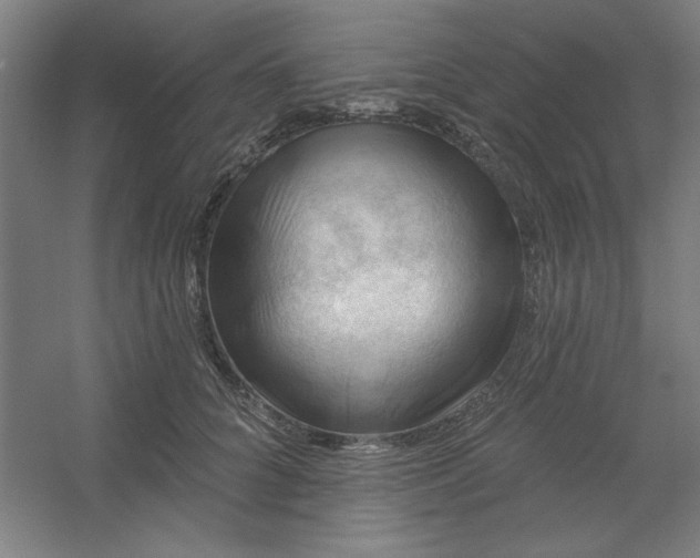 X0000054400704200508121659