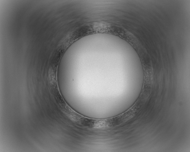 X0000054400705200508121659