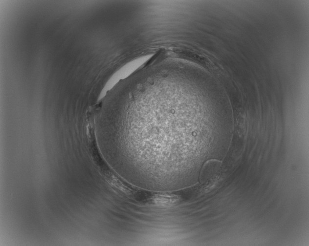 X0000054400707200508121659