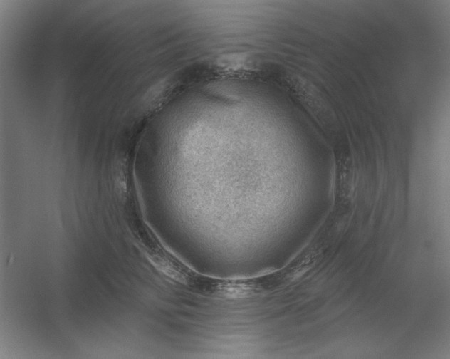 X0000054400710200508121659