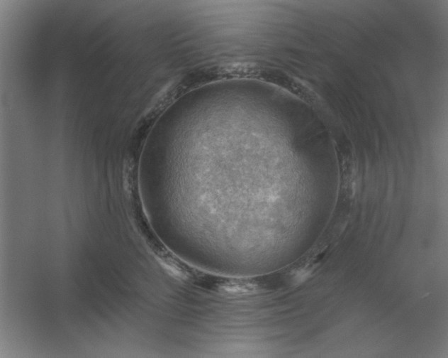 X0000054400712200508121659