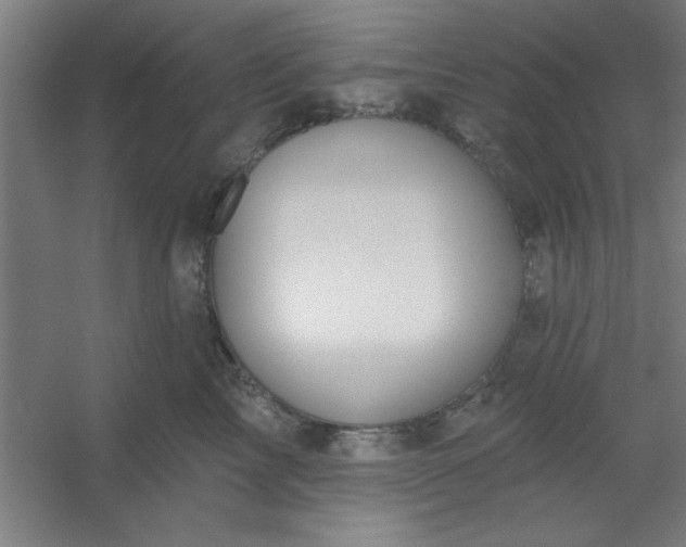 X0000054400713200508121659