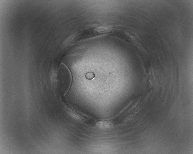 X0000054400714200508121659