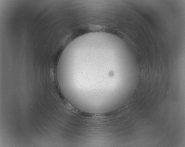 X0000054400716200508121659