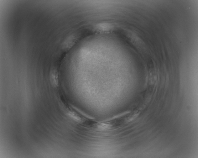 X0000054400718200508121659