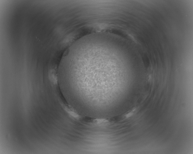 X0000054400719200508121659