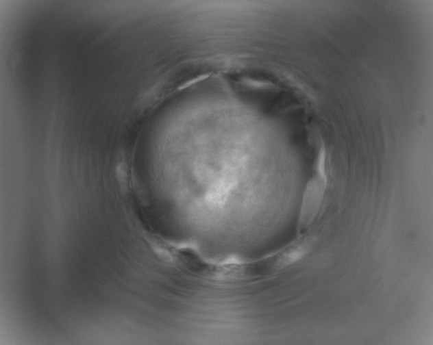 X0000054400720200508121659