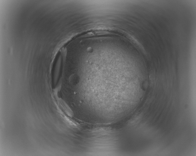 X0000054400721200508121658