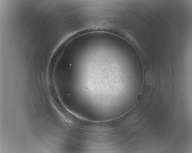 X0000054400722200508121658