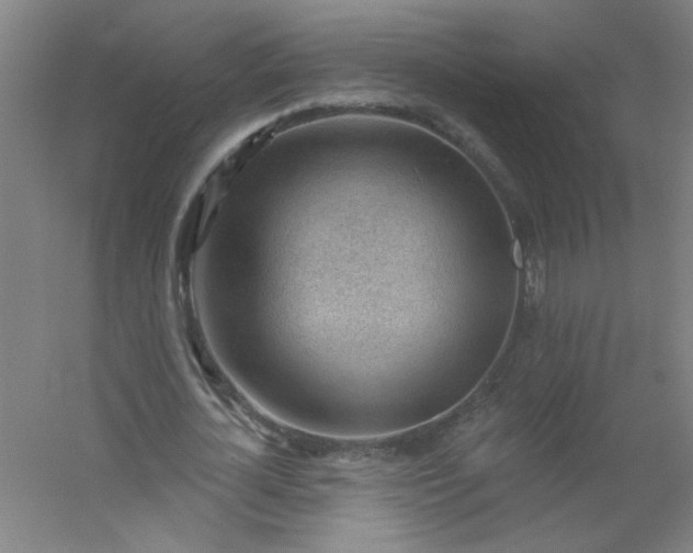 X0000054400724200508121658