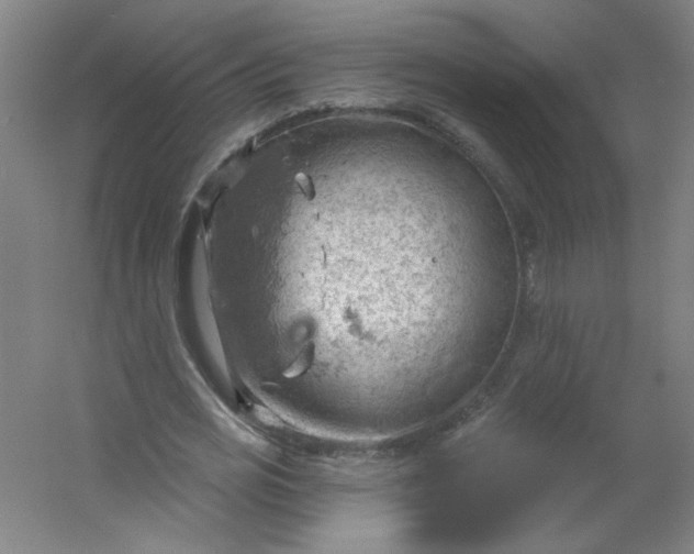 X0000054400725200508121658