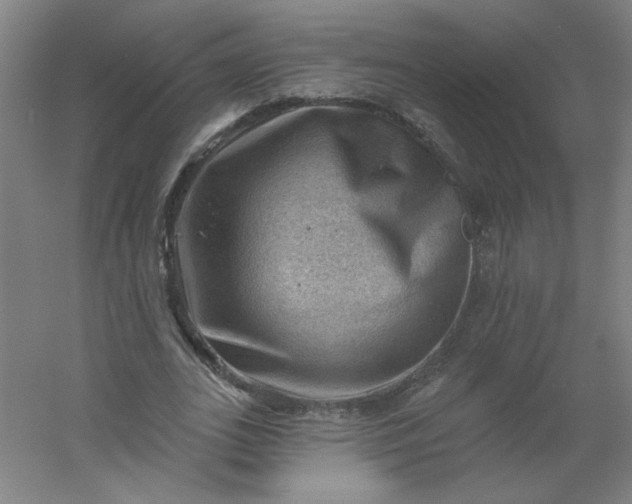 X0000054400727200508121658