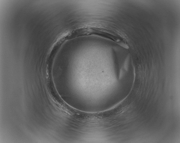 X0000054400731200508121658