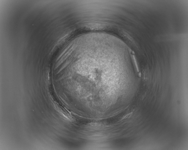 X0000054400733200508121658