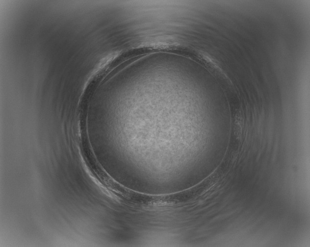 X0000054400734200508121658