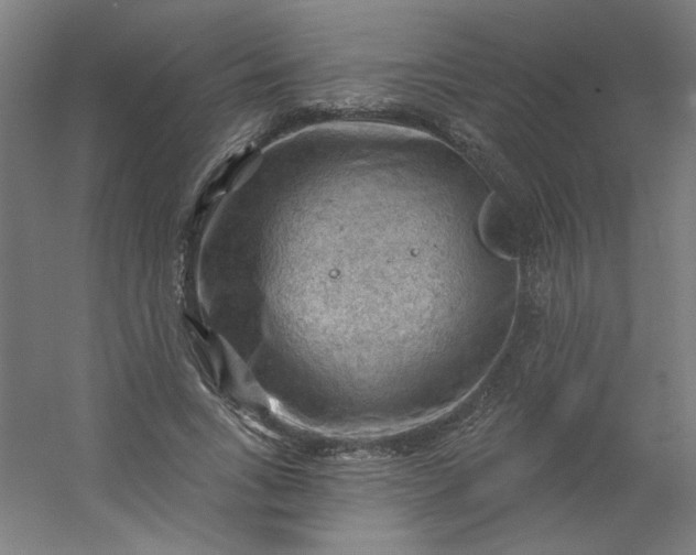 X0000054400735200508121658