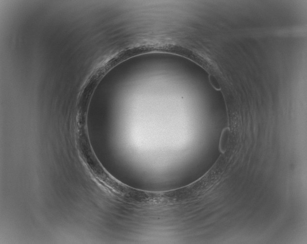 X0000054400736200508121658