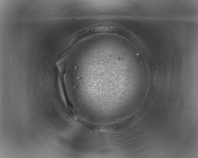 X0000054400737200508121658