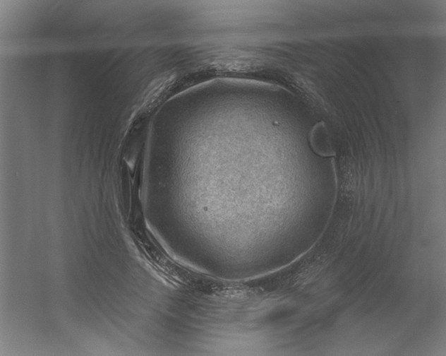 X0000054400738200508121658