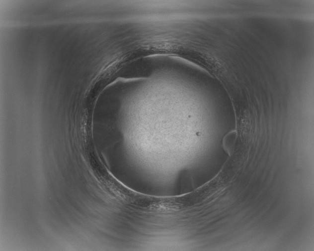 X0000054400739200508121658