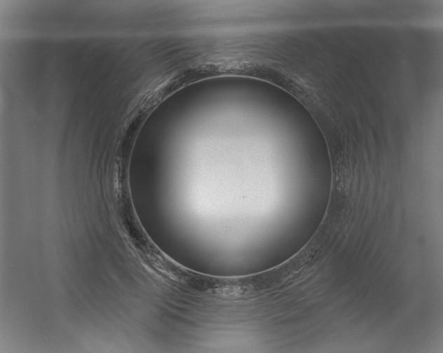 X0000054400740200508121658