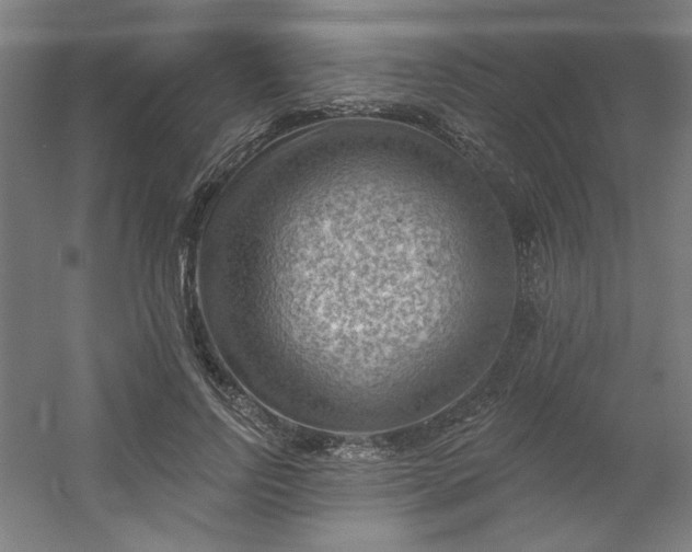 X0000054400742200508121658