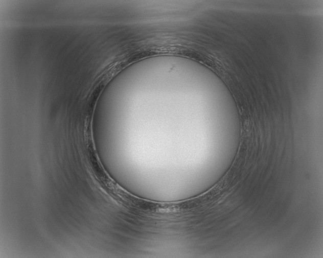 X0000054400744200508121658