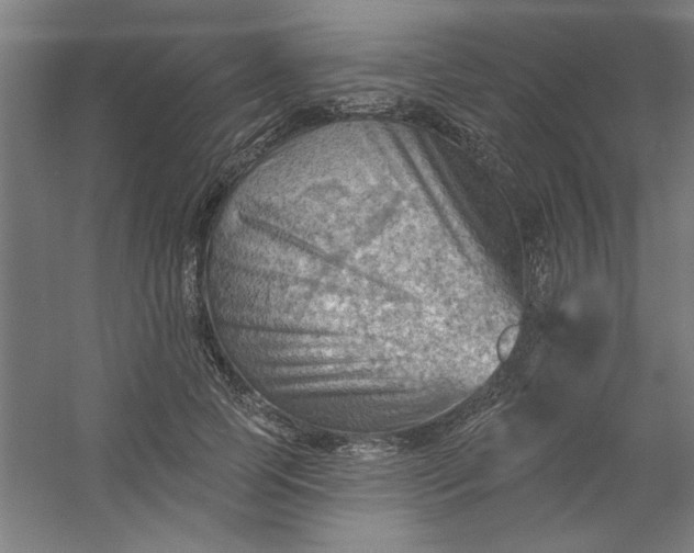 X0000054400745200508121658