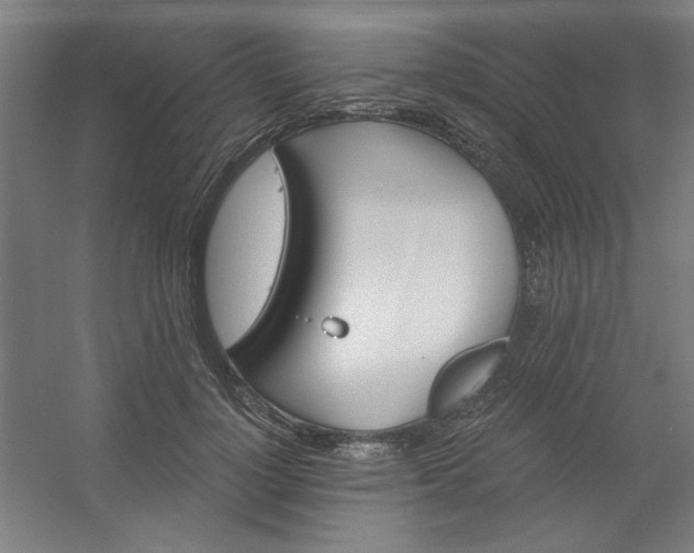 X0000054400748200508121658